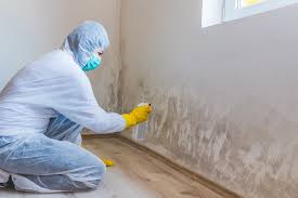 Why You Should Choose Our Mold Remediation Services in Hemphill, TX